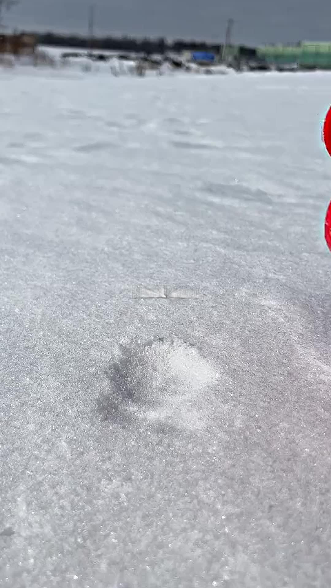 Free up iphone storage in seconds with Cleanup