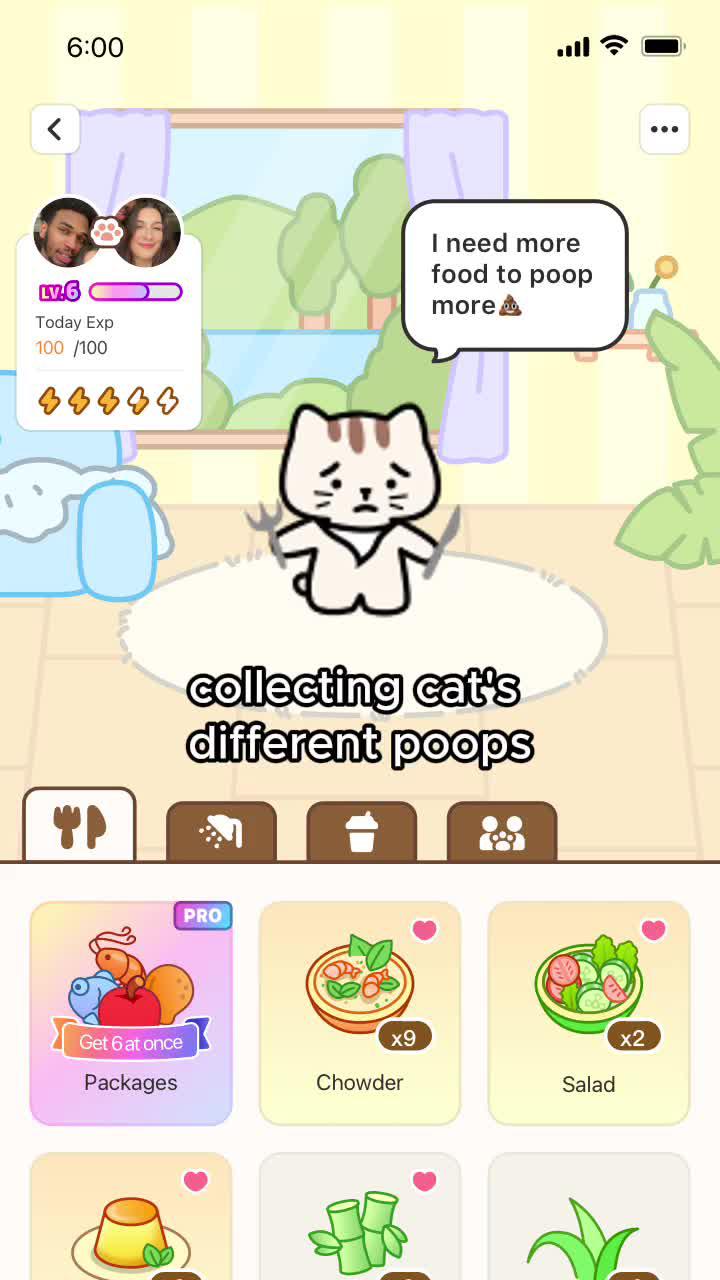 Collecting cat's different poops