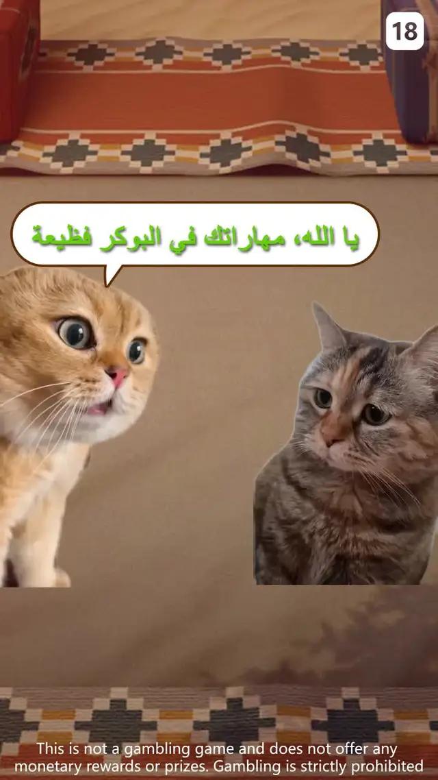 هل أنت محترف في لعبة الطرنيب؟ ساعدني