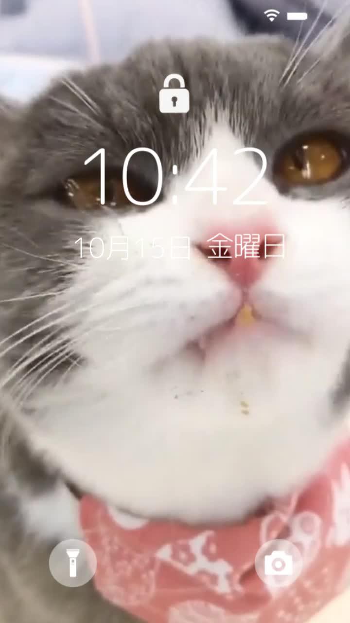 かわいい 使える顔文字・絵文字が豊富