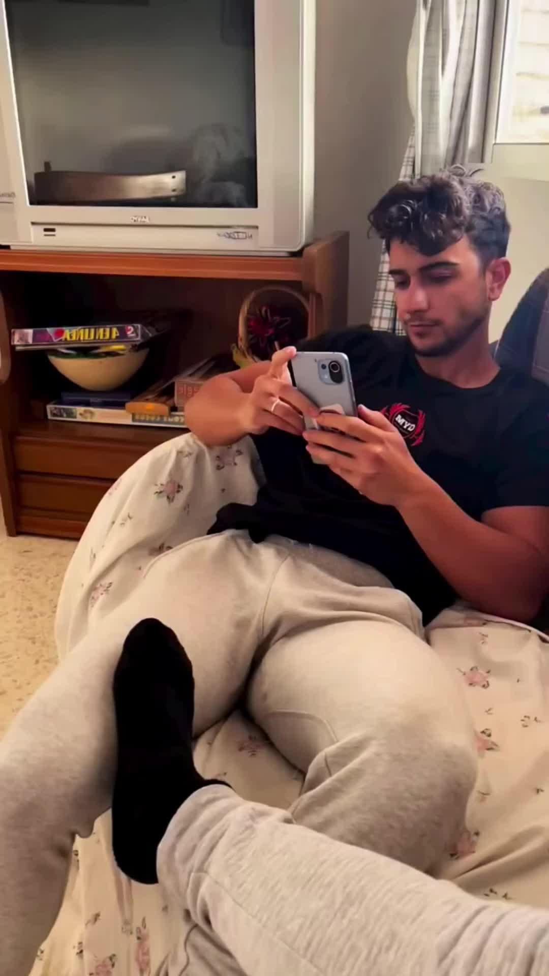 Raise a pet on your phone