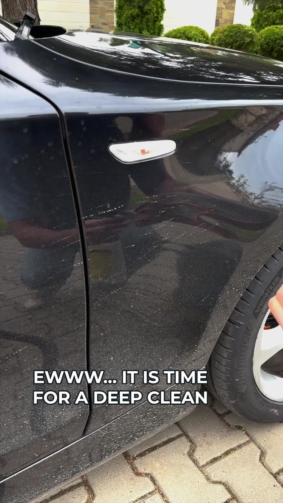 Everything your car needs!