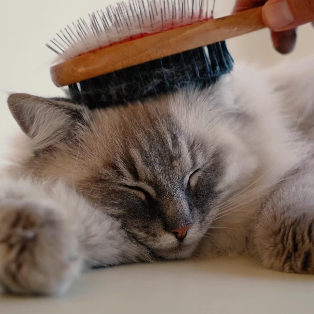 【公式】Instagram／シェアで広がる新しい出会い。気になる場所・モノを探してみよう