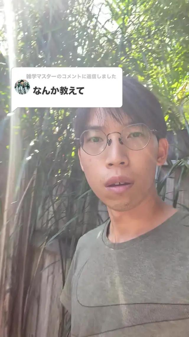 あなたのアリ帝国を築き上げろう