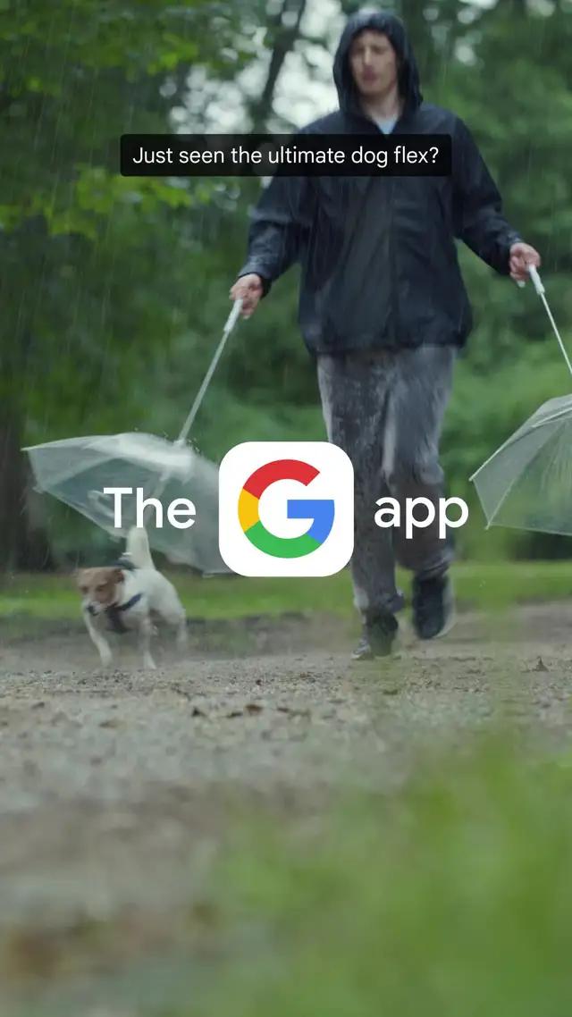 Spotted a must-have for your dog in the park? Download the Google app and get it for yourself