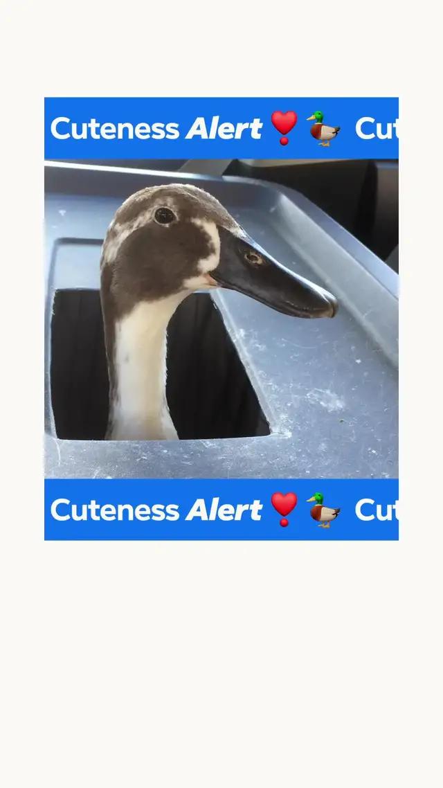 Find the perfect Facebook Group for you.