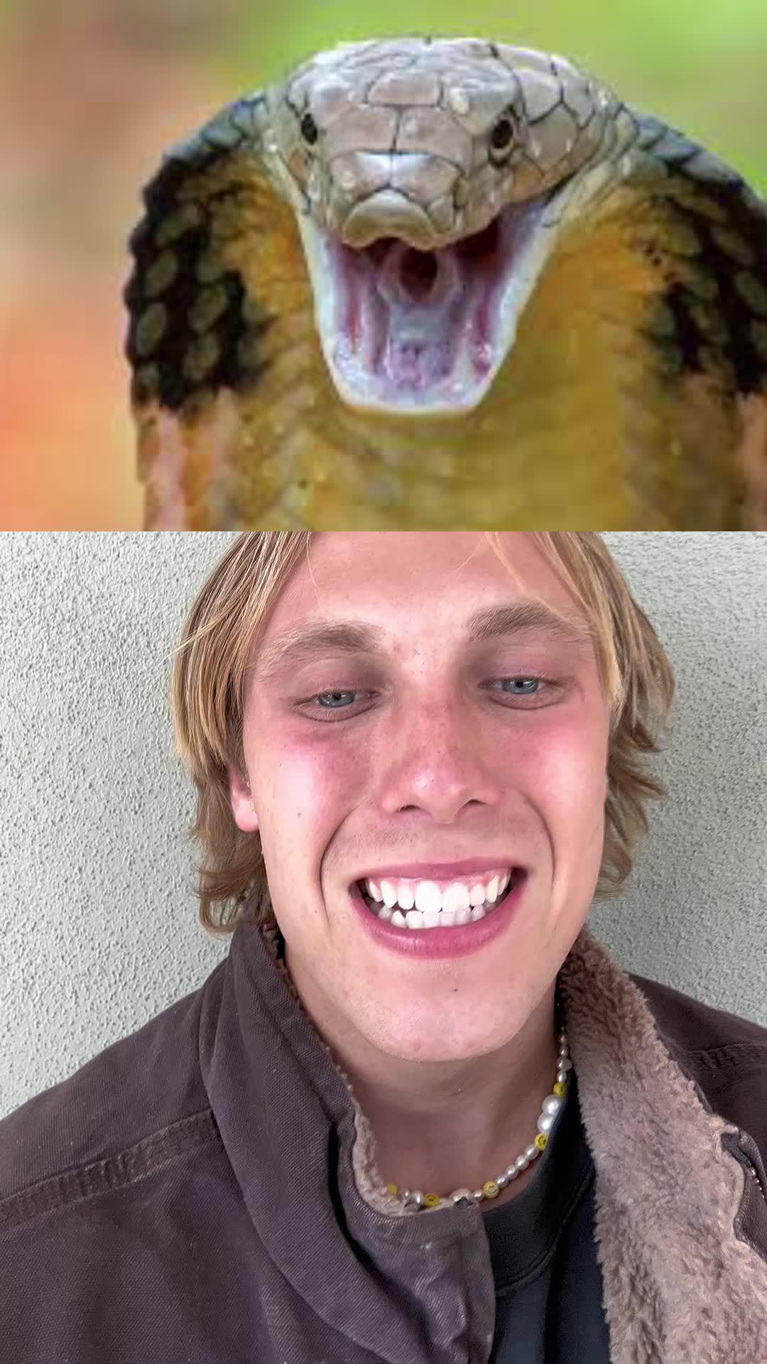 Race to Victory: Conquer the Snake Run