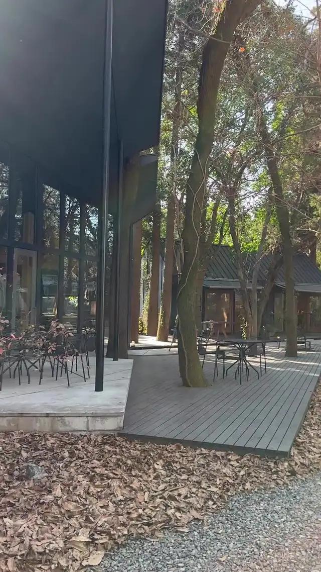 マジでお金ない時はこれ一択！