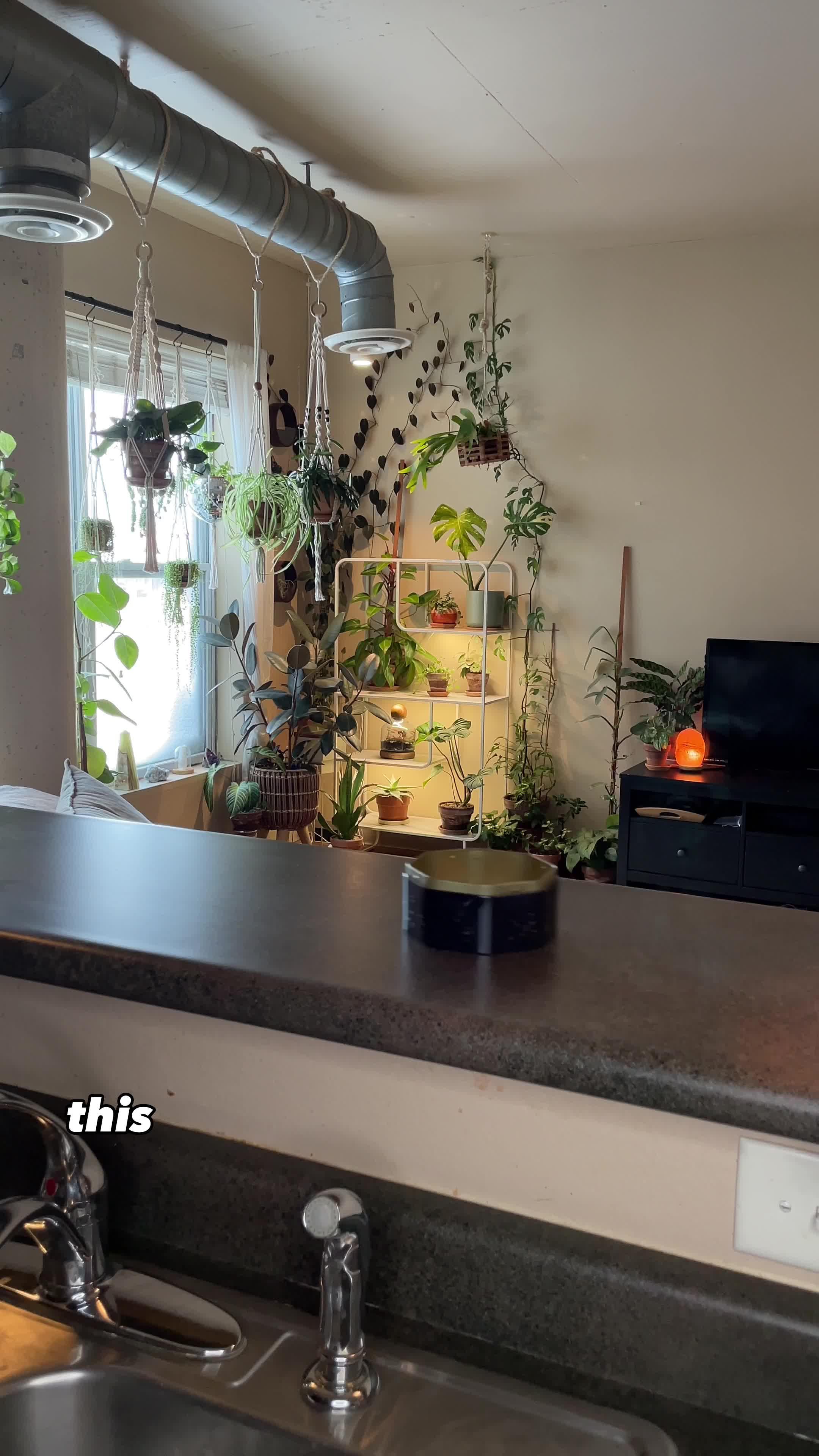 Create routines tailored to your lifestyle, you can make your pleasant every day！