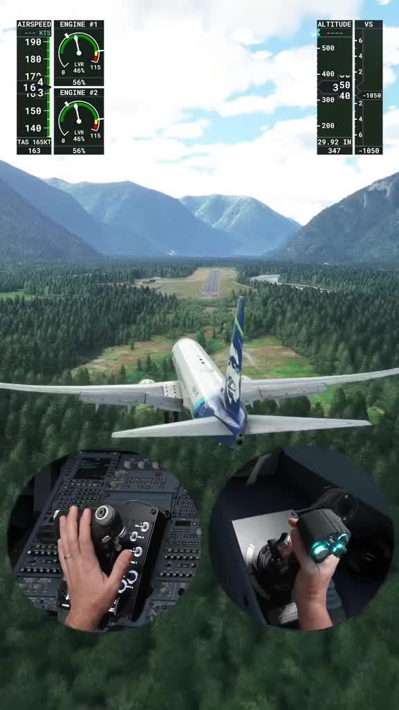 New to fly simulation?