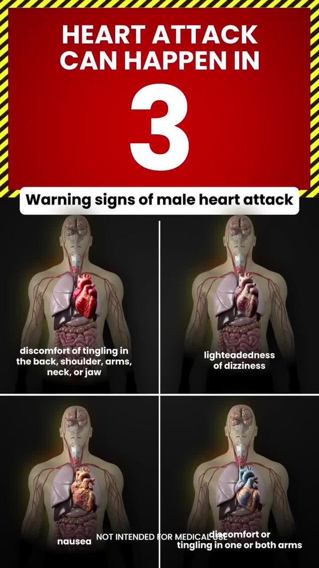 ESSAYEZ MAINTENANT GRATUITEMENT !