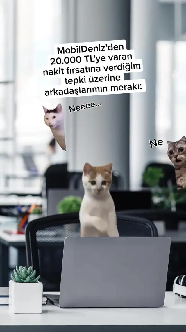 MobilDeniz'den 20.000 TL'ye varan nakit fırsatı! 