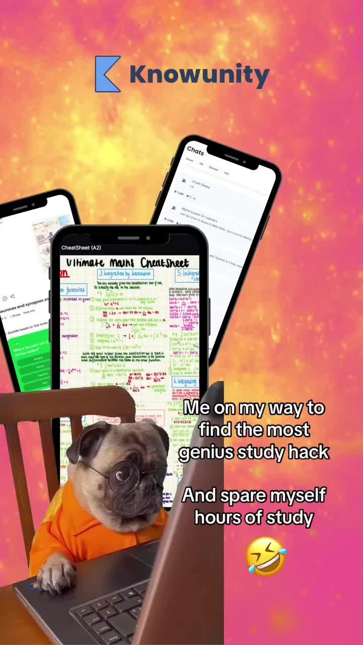 Outsmart School with Knowunity