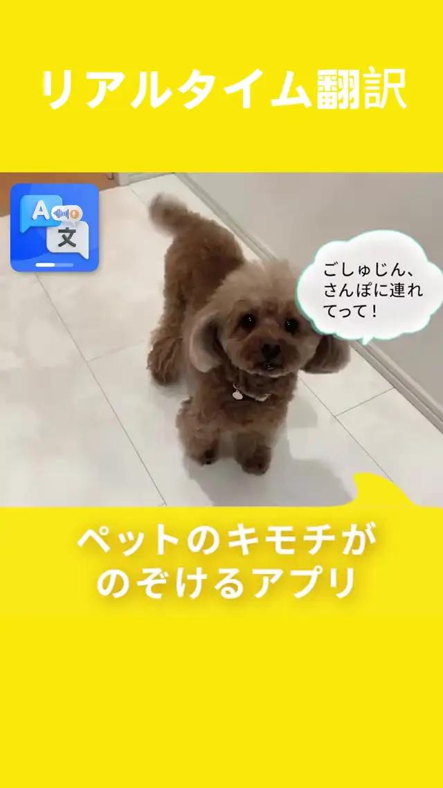 映画字幕のリアルタイム翻訳