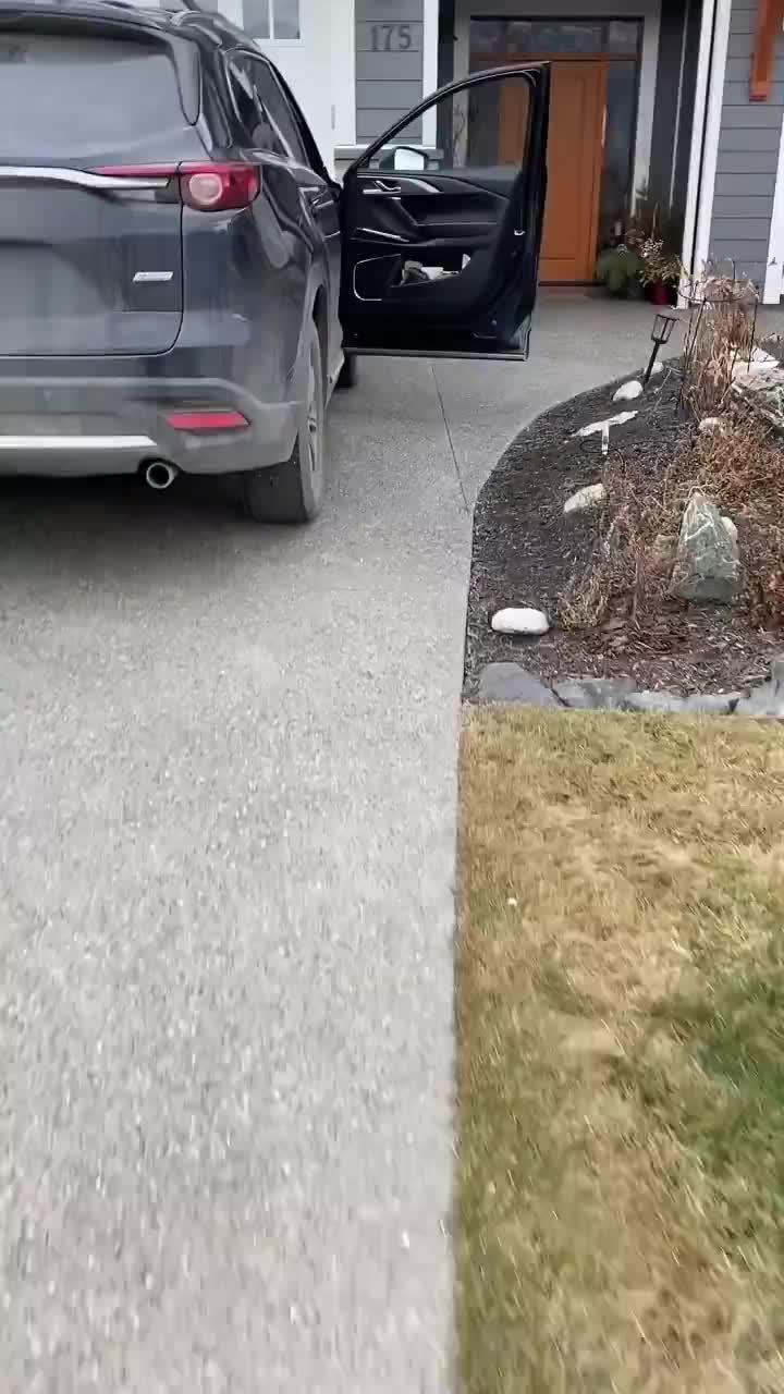 Daily Clean is your powerful cleaning tool.