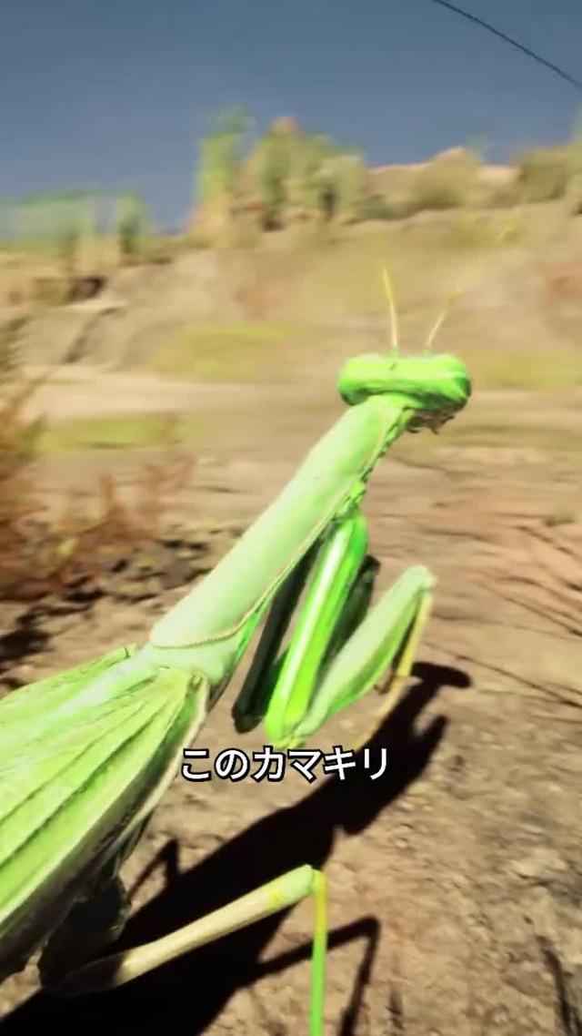 これは蟻族の崛起のだ