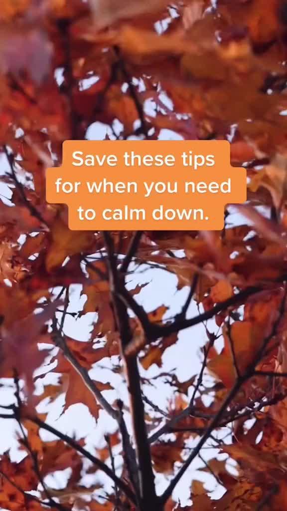 Take a moment to take a breath.