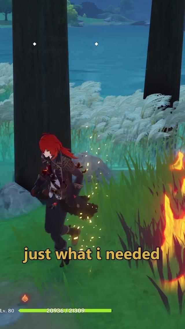 Play and Get 20 Free Wishes!