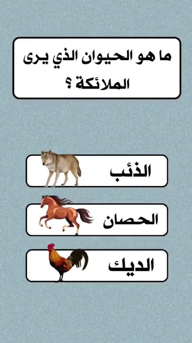 اسئلة واجوبة