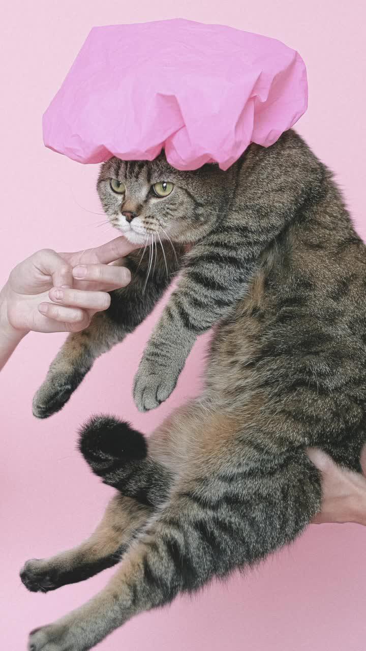 Get a pic, tap it, and go share it!