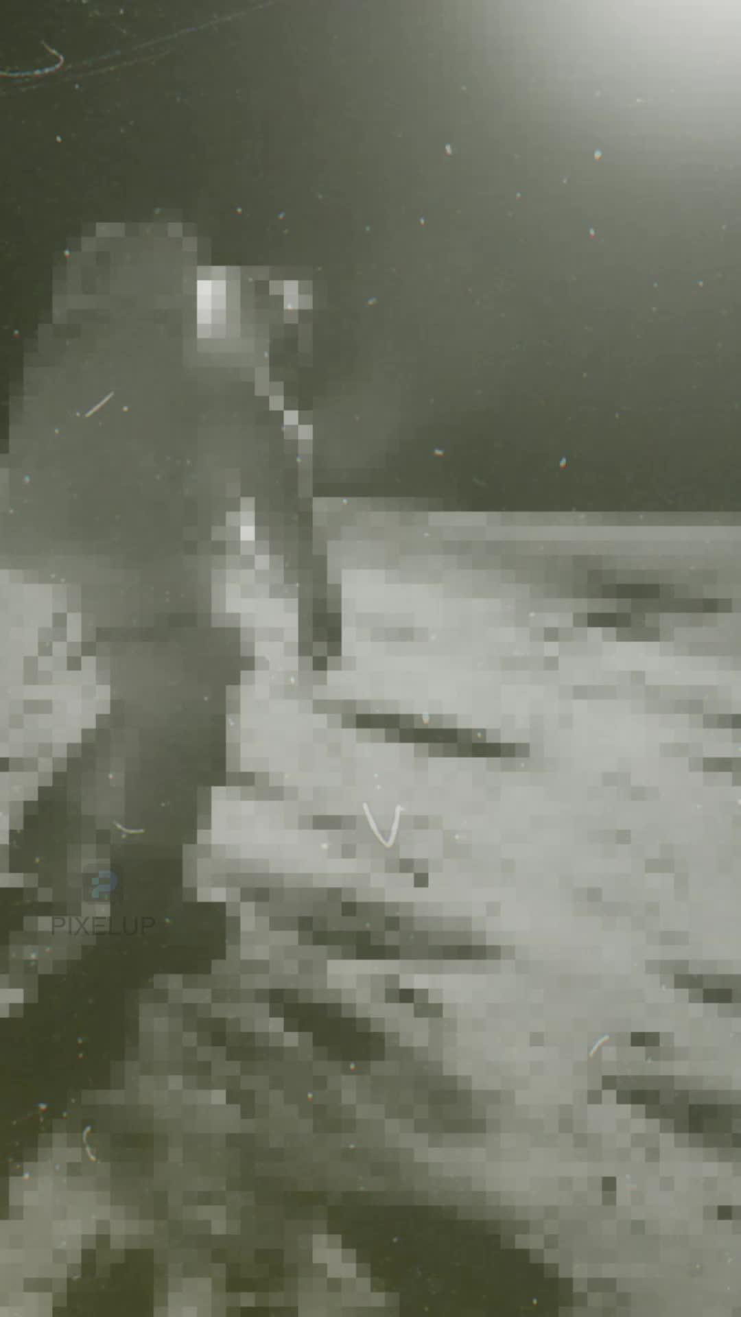 Enhance & Unblur Your Photos with Pixelup!