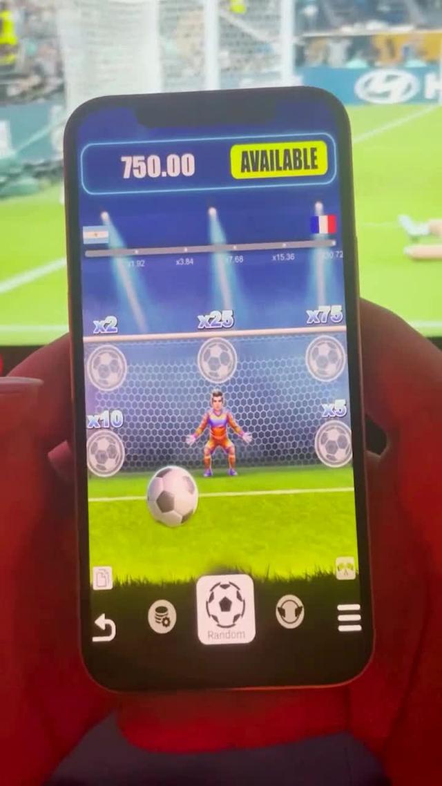 Installieren und starten!