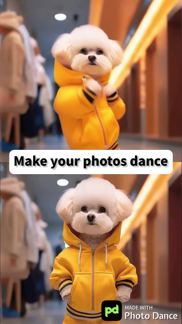 Best photo animator app