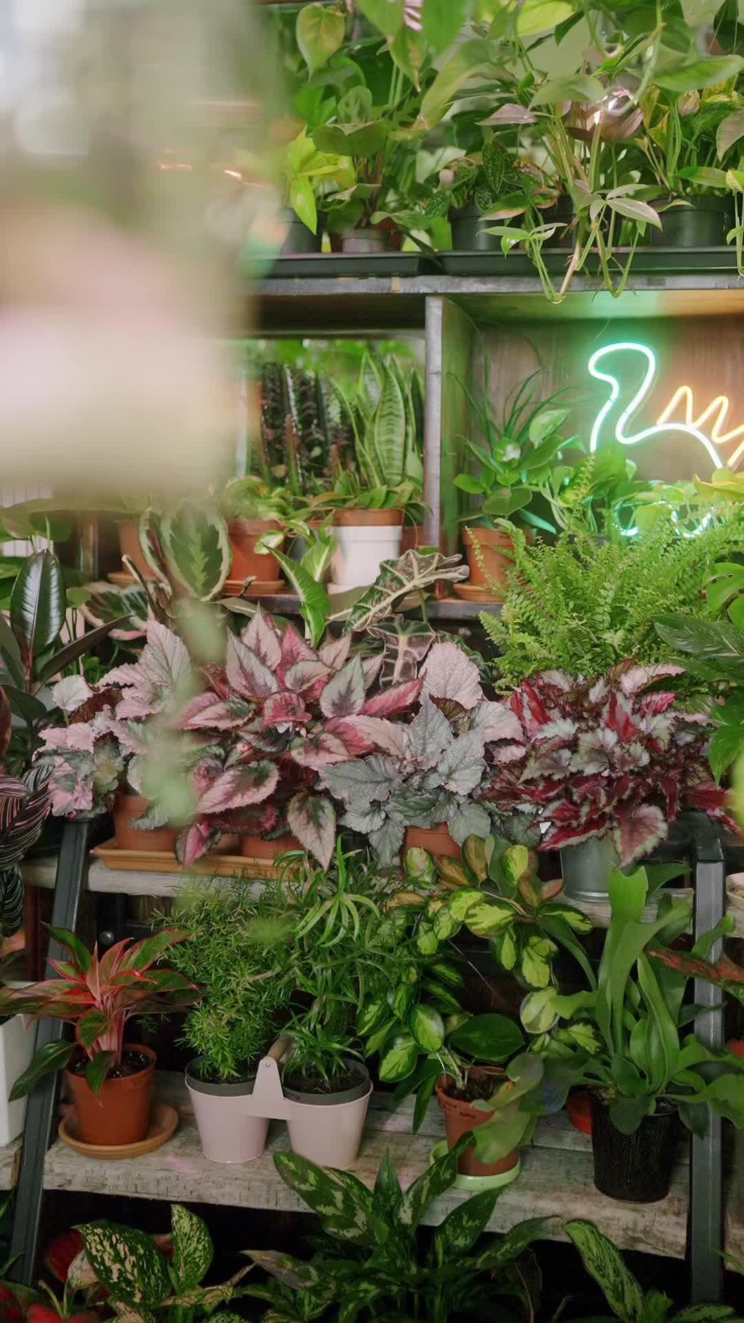 It’s time to bring your gardening dreams to life!