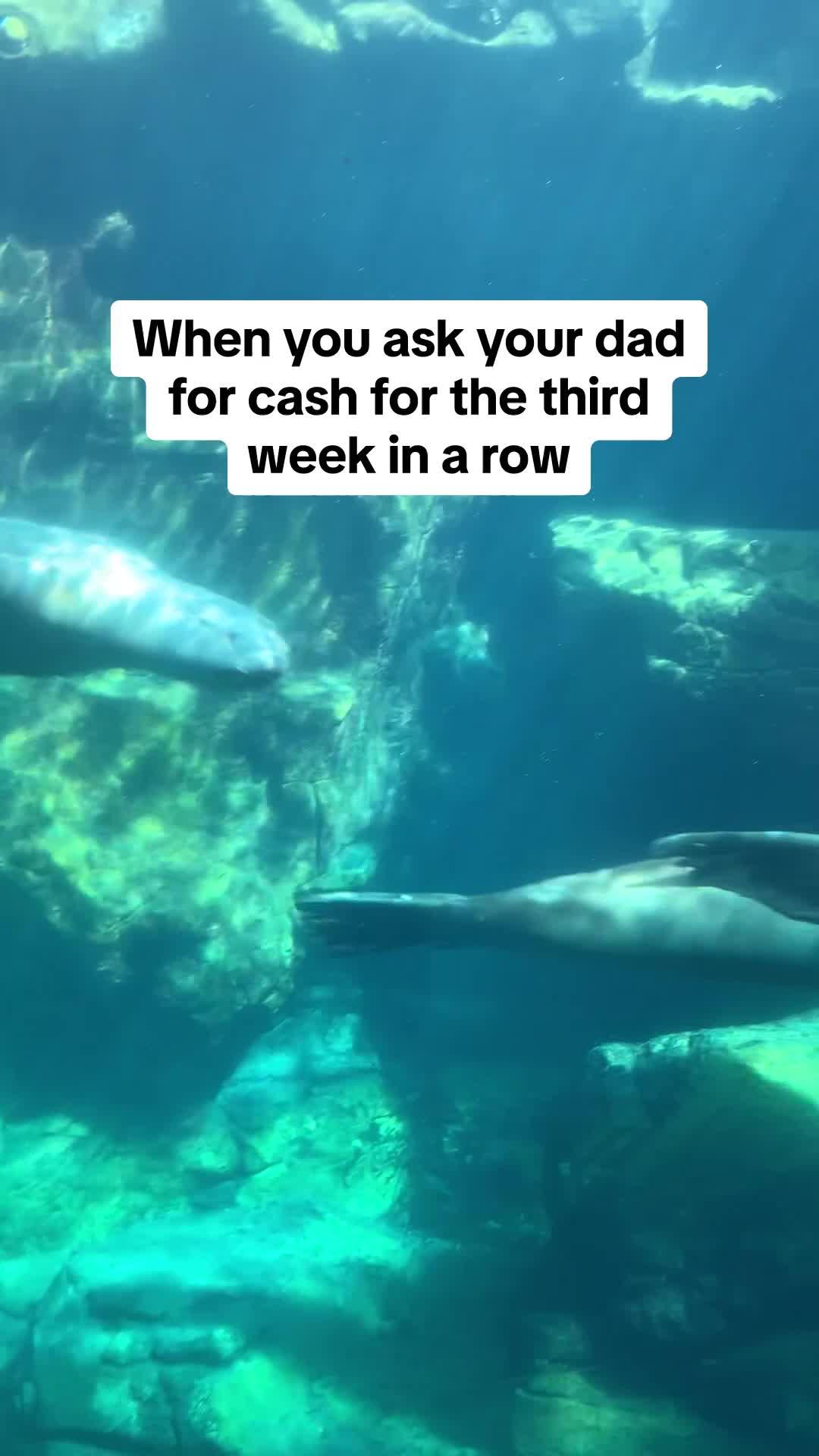 This app sends you up to $250