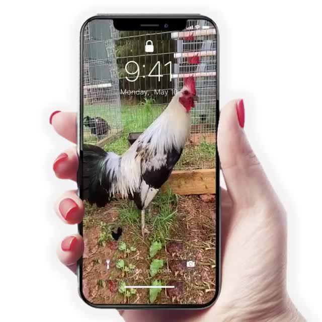 Speeding fast with us.