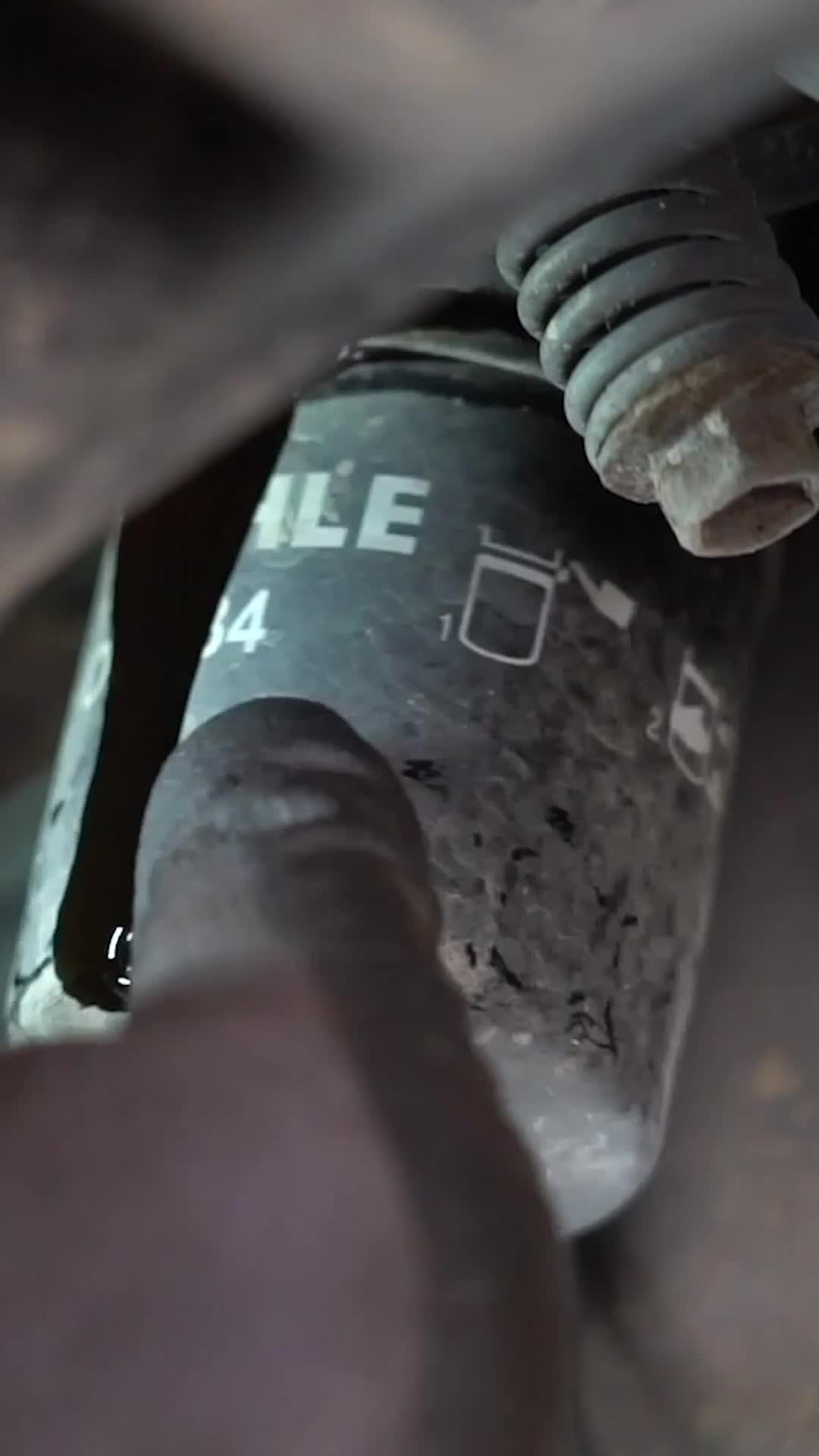 Everything your car needs!