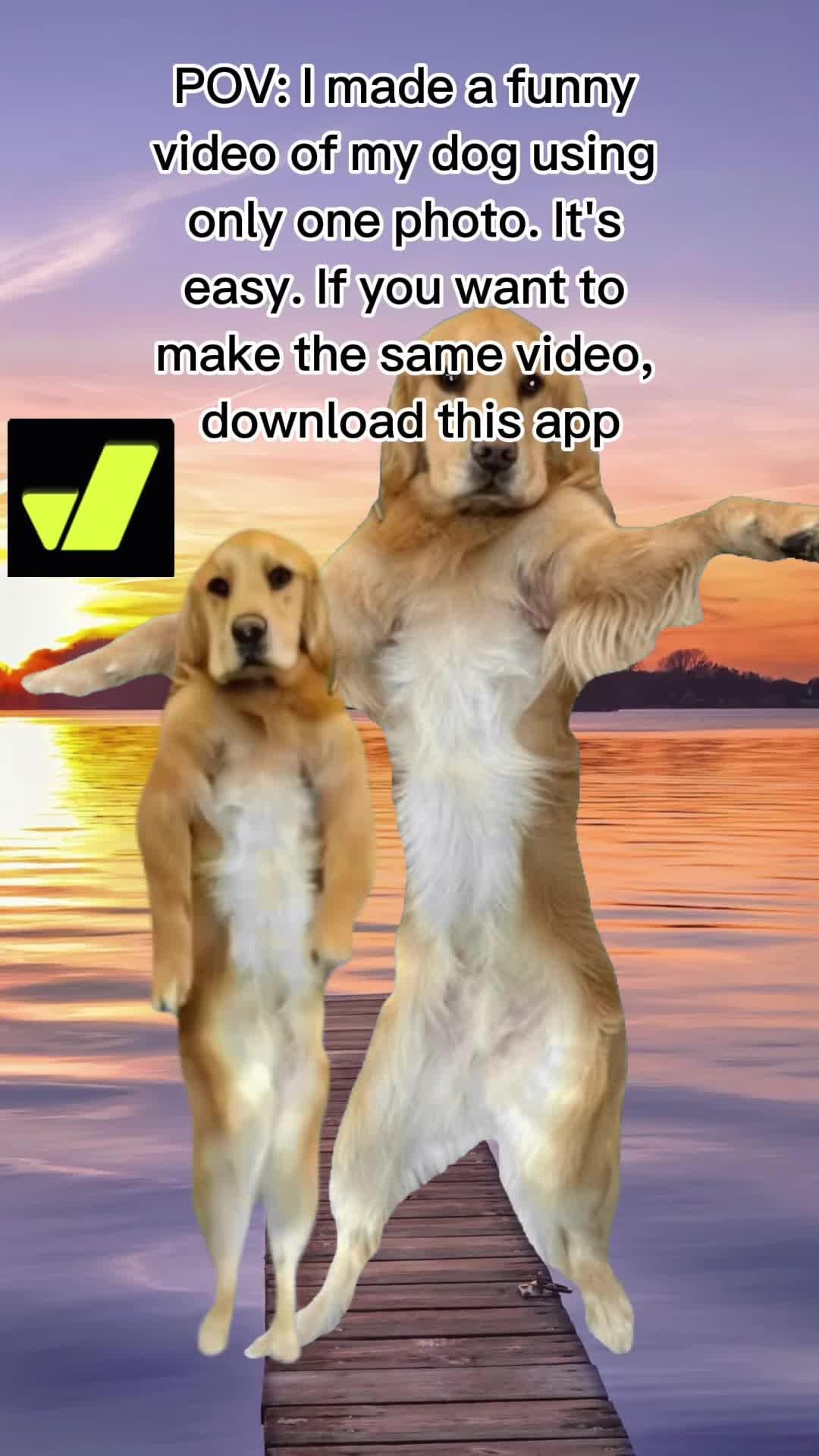 Create amazing AI dance videos with Jiggle AI