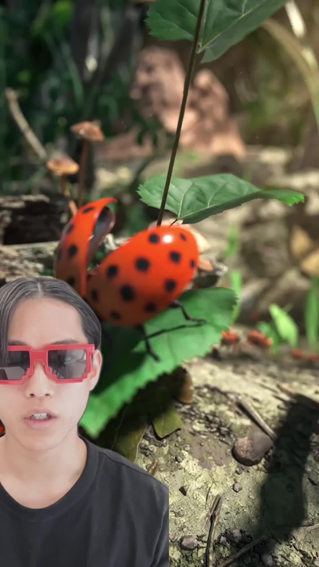 あなたのアリ帝国を築き上げろう