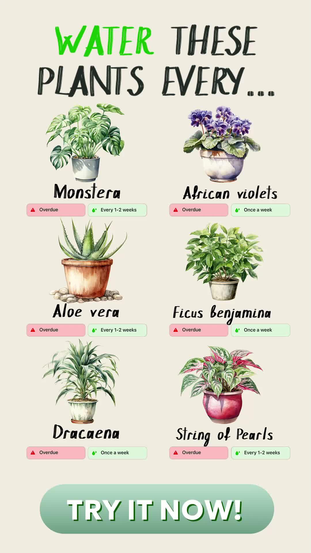 Track your plants' progress. Get personal notifications on plant care