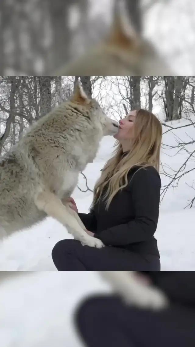 Become the wolf lords, rise to the top of food chain.