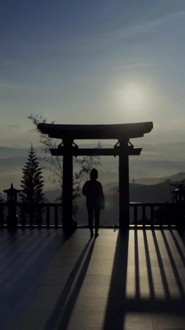 Fly to Da Lat from RM169