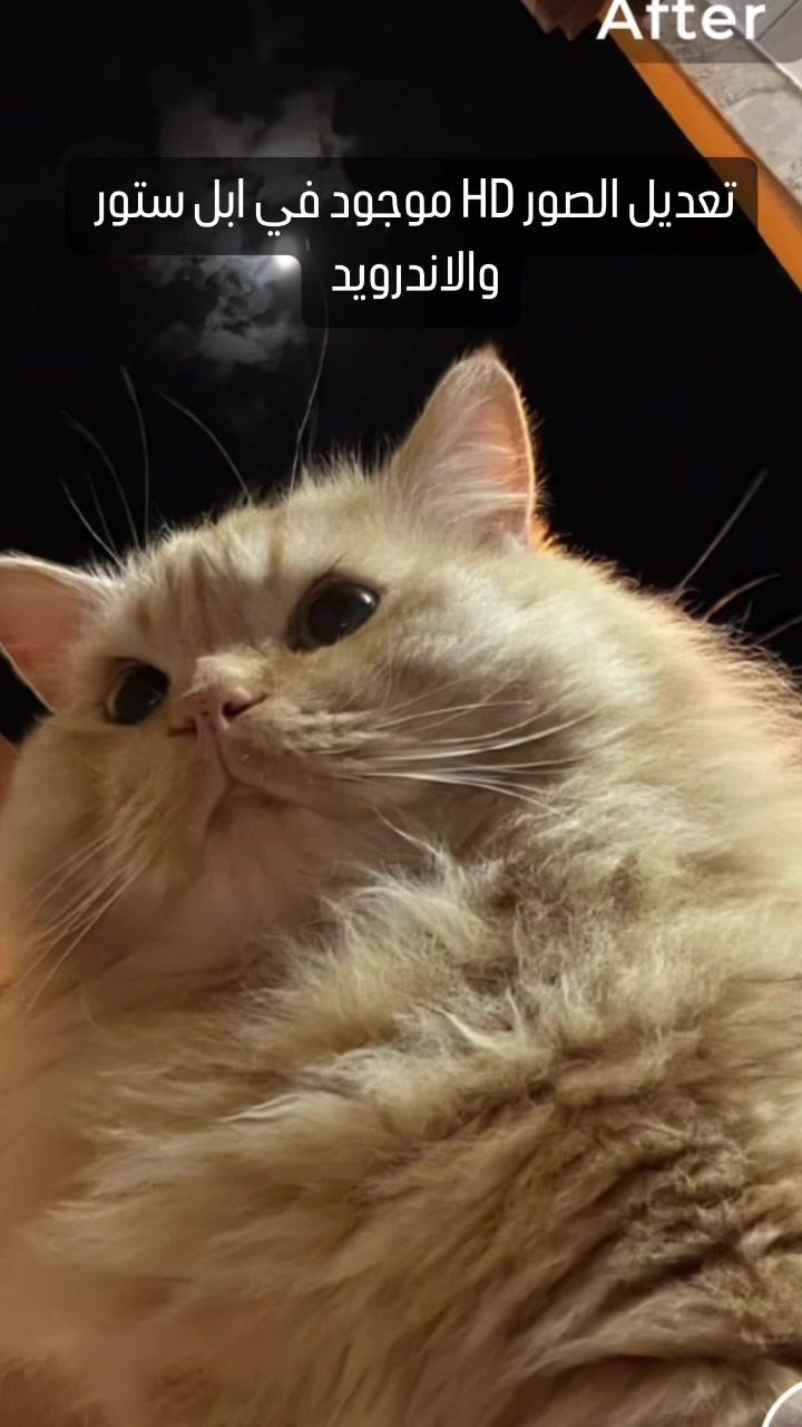 قم بتنزيل برنامج VivaCut الآن💓  #fyp #editing #vivacut #تصويري