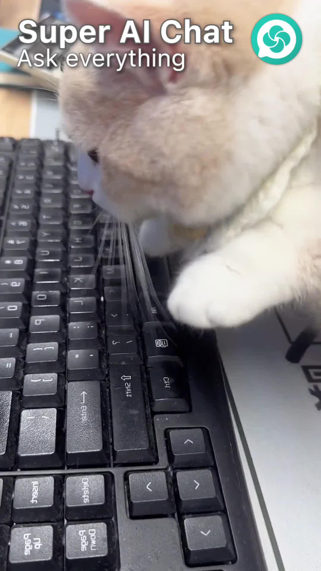 Get ChatGPT on your phone with Super AI Chat.