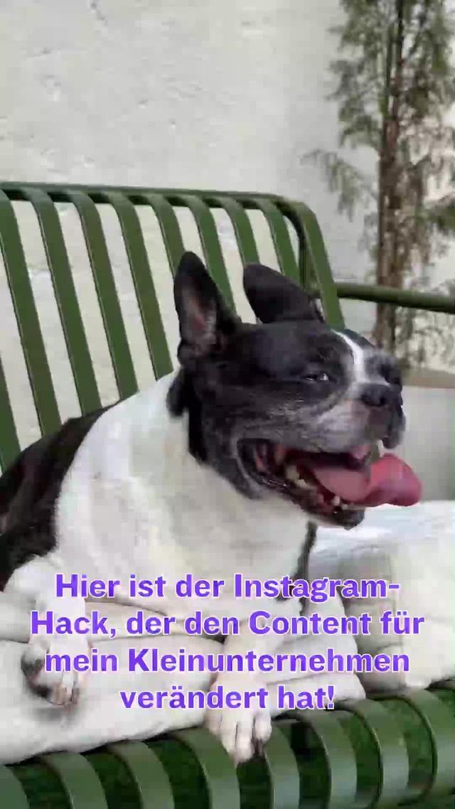 Wähle eine Social Media-Vorlage. Passe sie individuell an. Hol dir die Canva-App.
