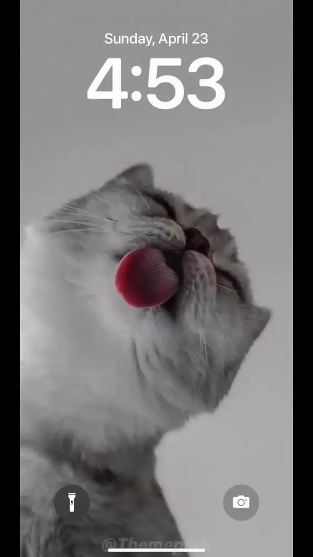 Set exclusive widgets & themes for your Phone!