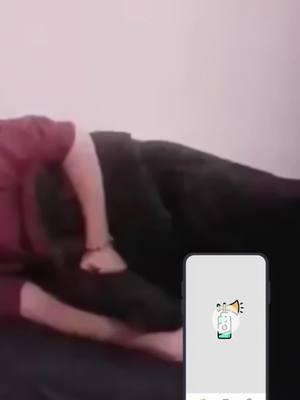 Try air horns on your friends and see their reaction!