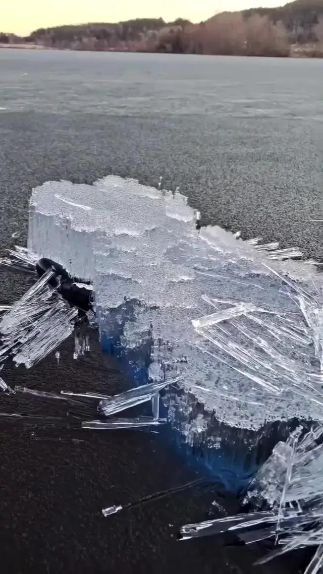 밖에 안나가도 재미있게 놀는 법! 위플레이 친구들 너무 웃겨요