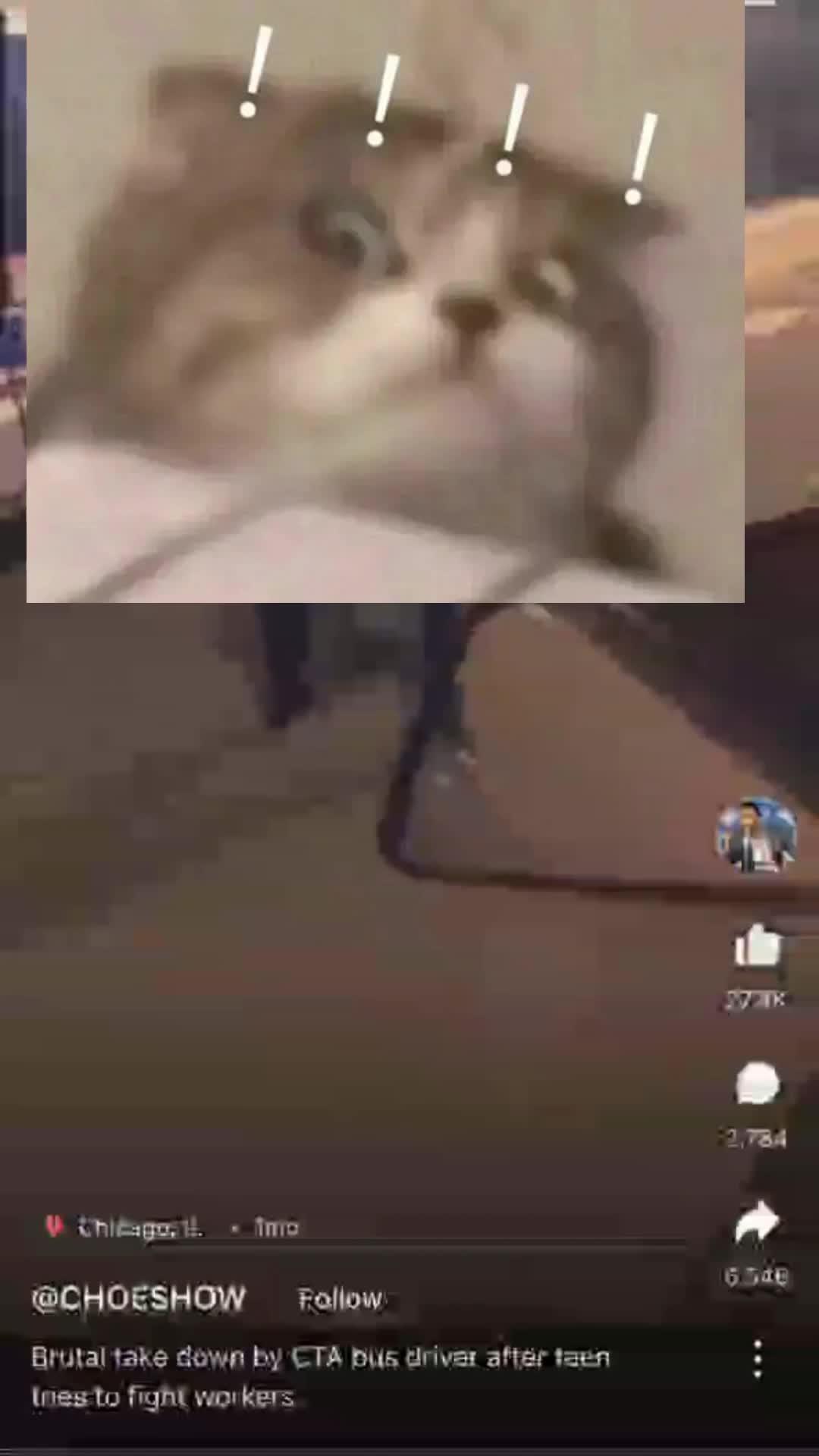 Check the safety map before you head out—stay woke and safe!