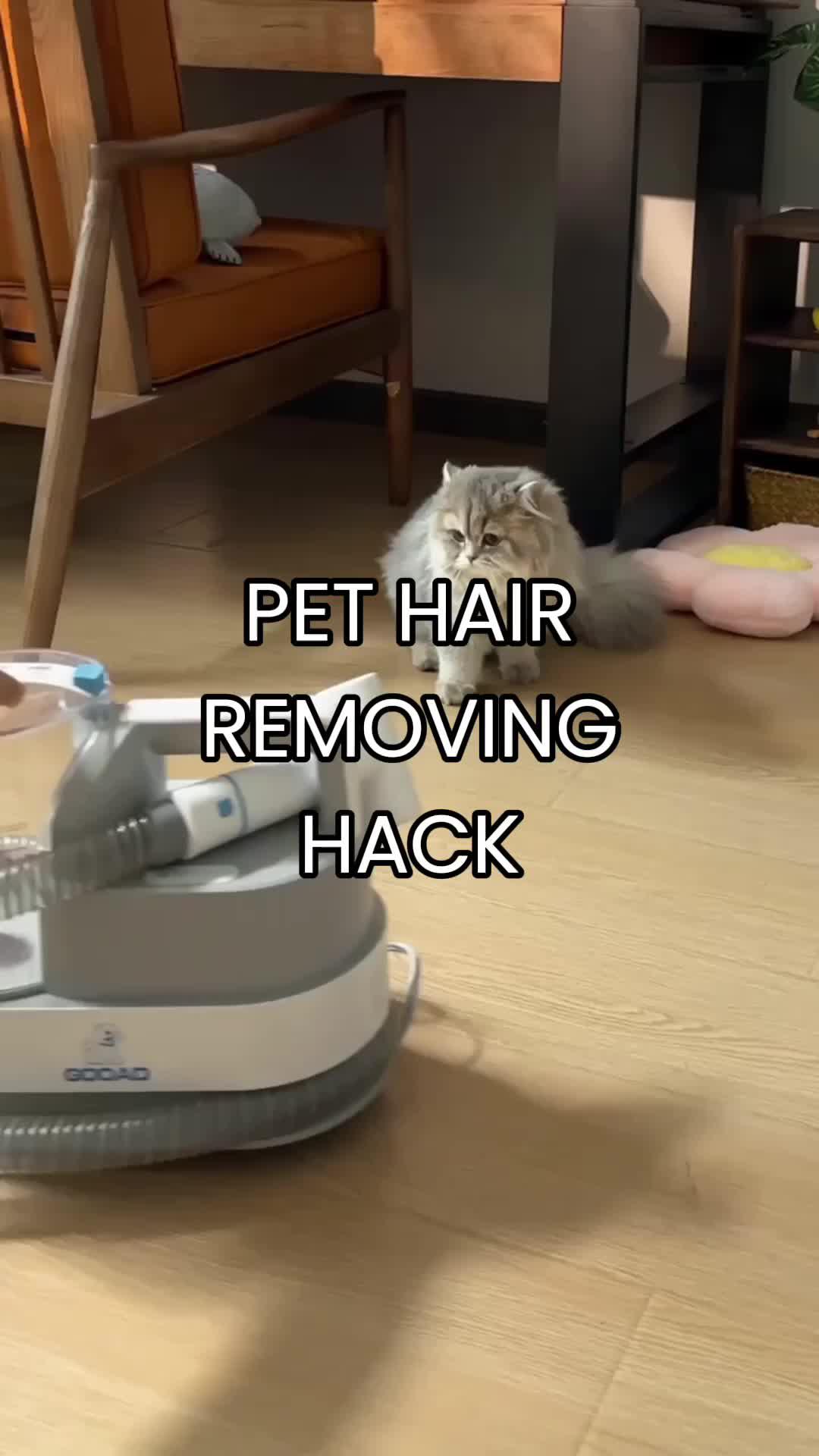 this pet hair remover is a must have when you have a long haired cat! 😻 #cathair #organizing #organizedhome #cleantok #satisfying #aesthetic #asmr