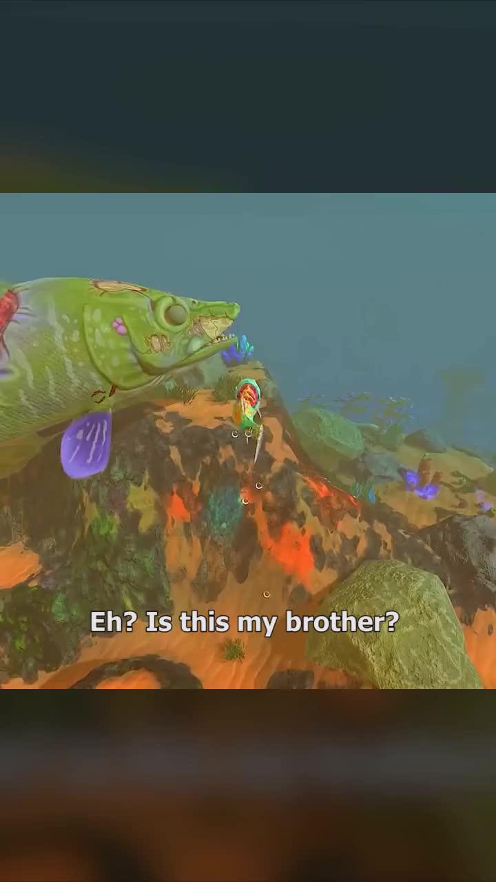 Only one team can survive, can you become the king of the ocean ?