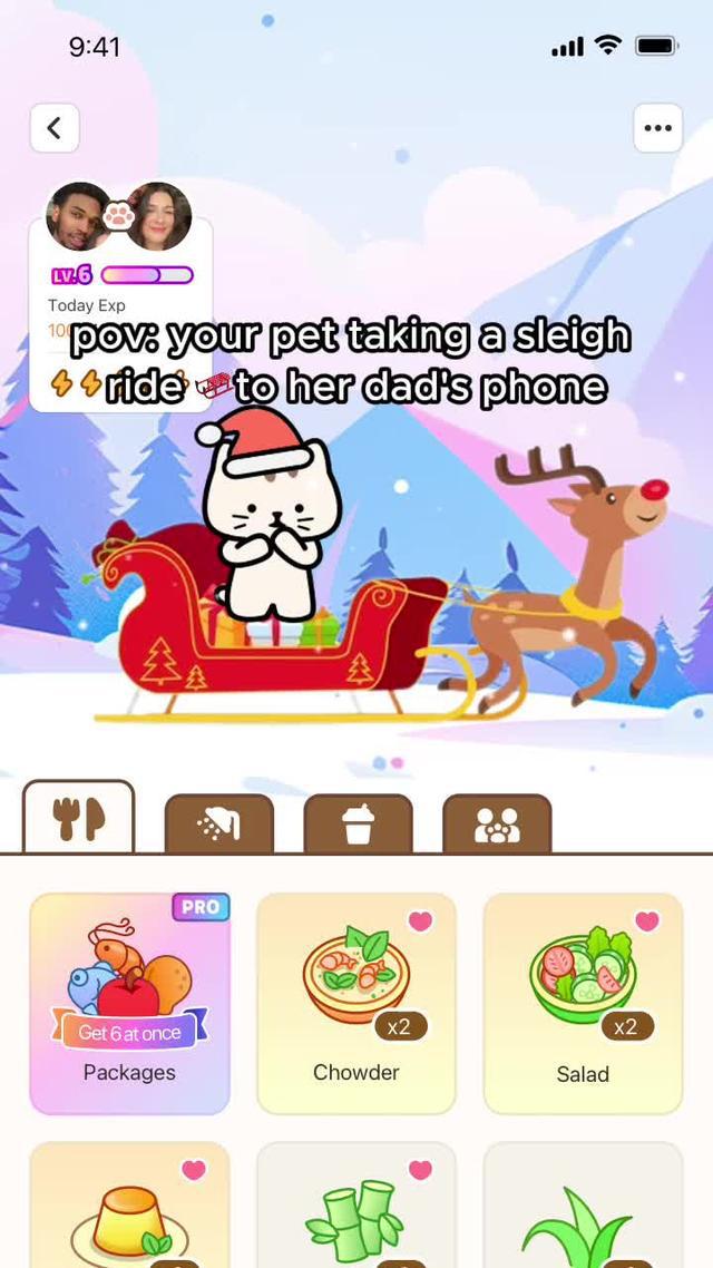 Raise a pet on your phone