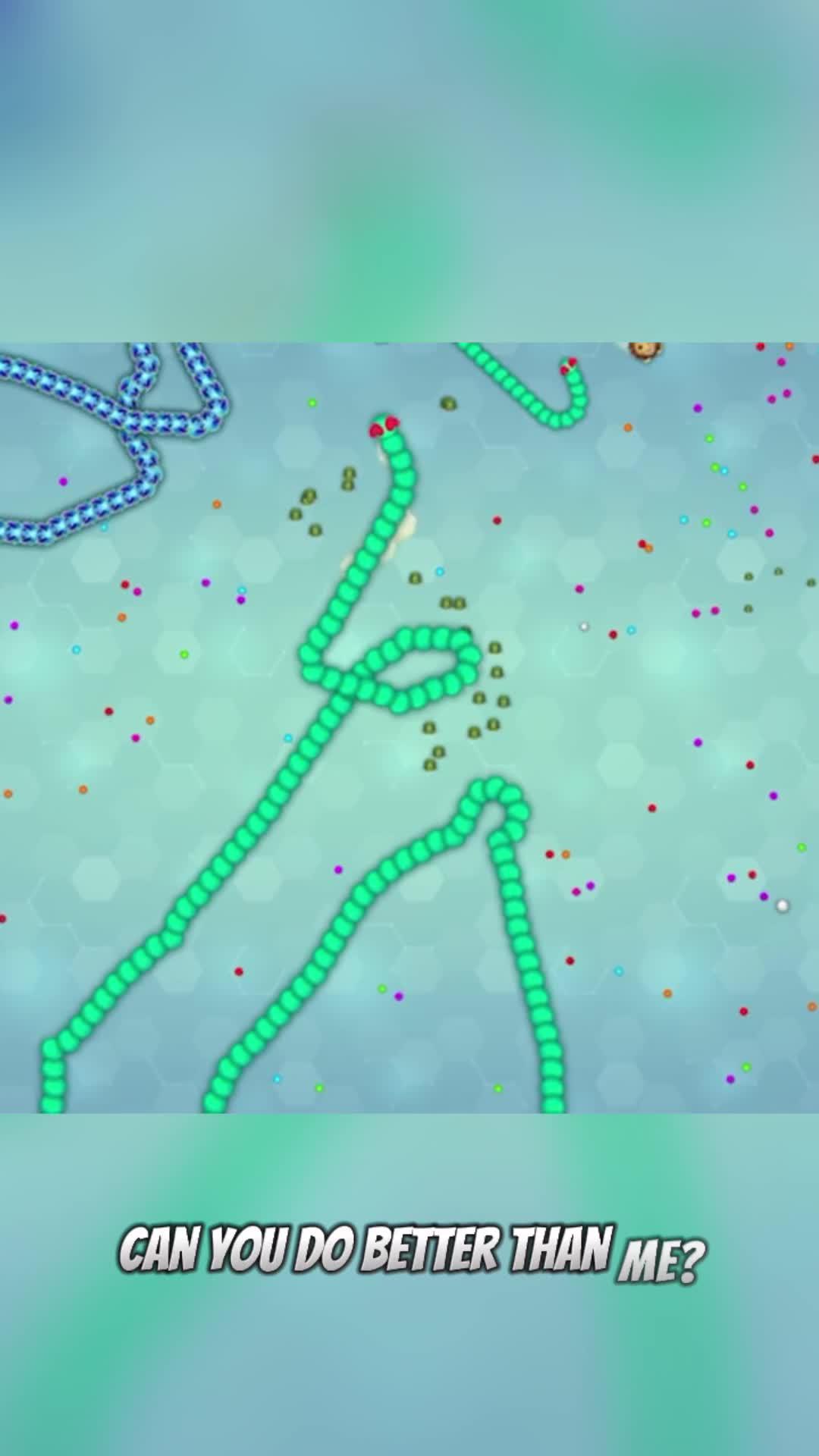 Slither your way to the top!