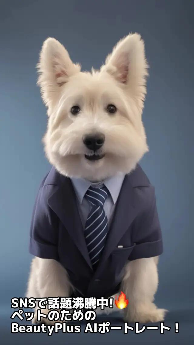 とっても可愛いペットの写真！ ぜひ試してみてください！