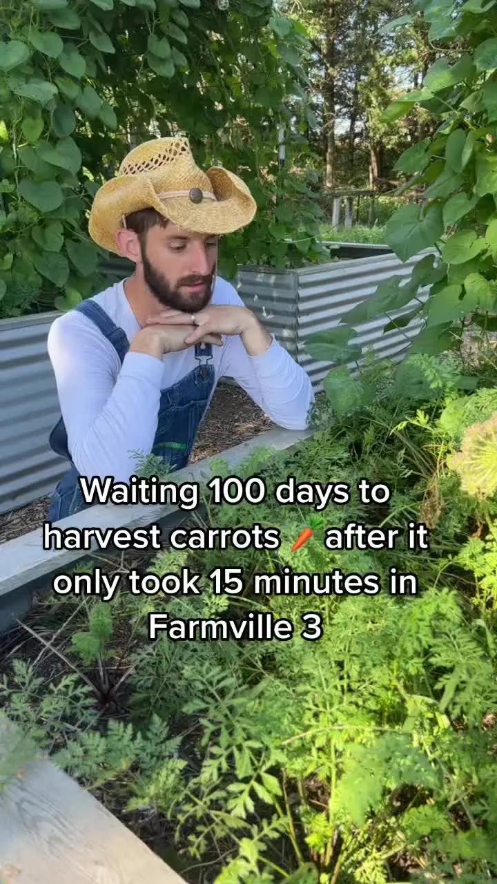 Everythings easier in FV3 🥕