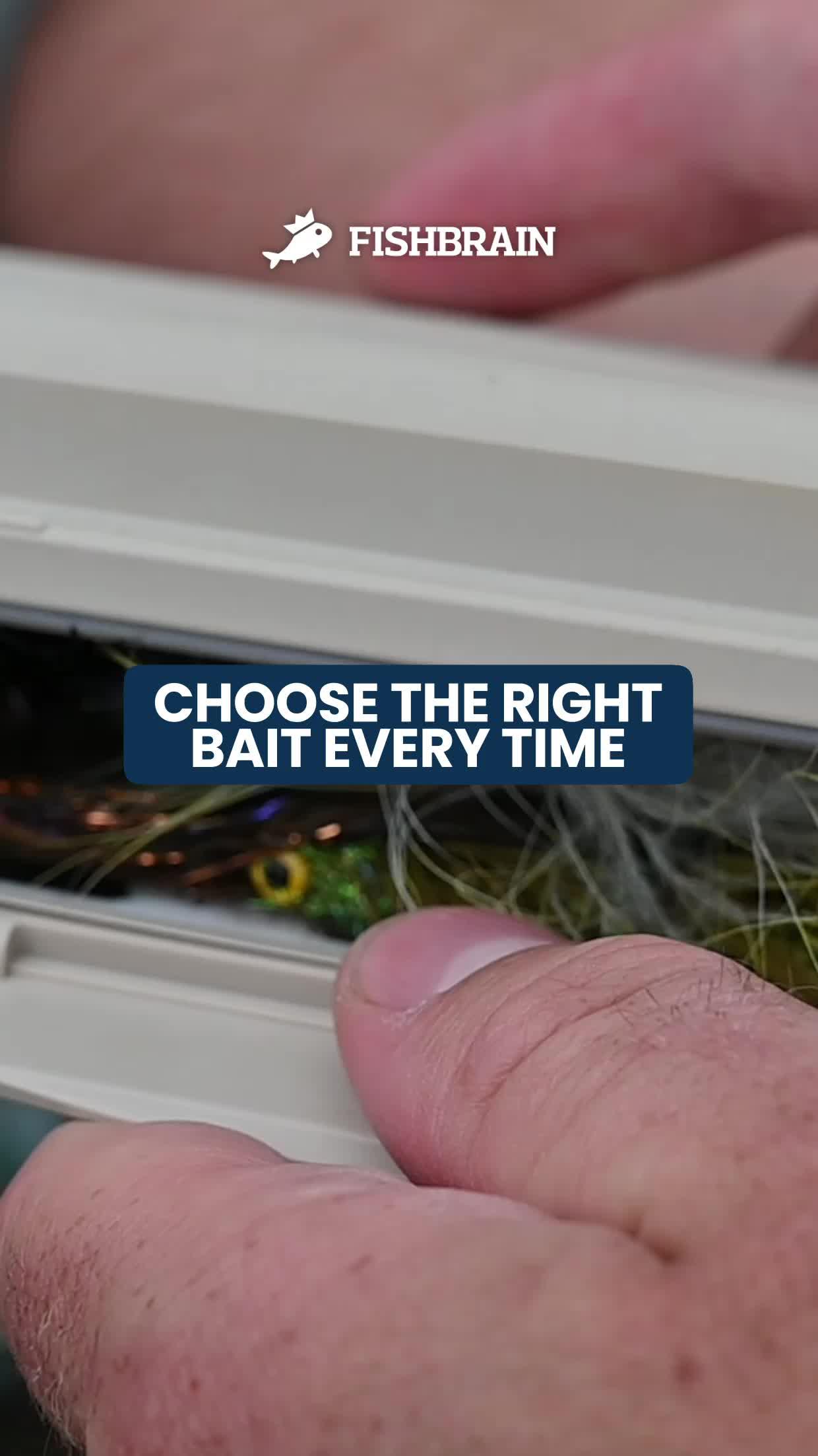 Choose the right bait this summer.